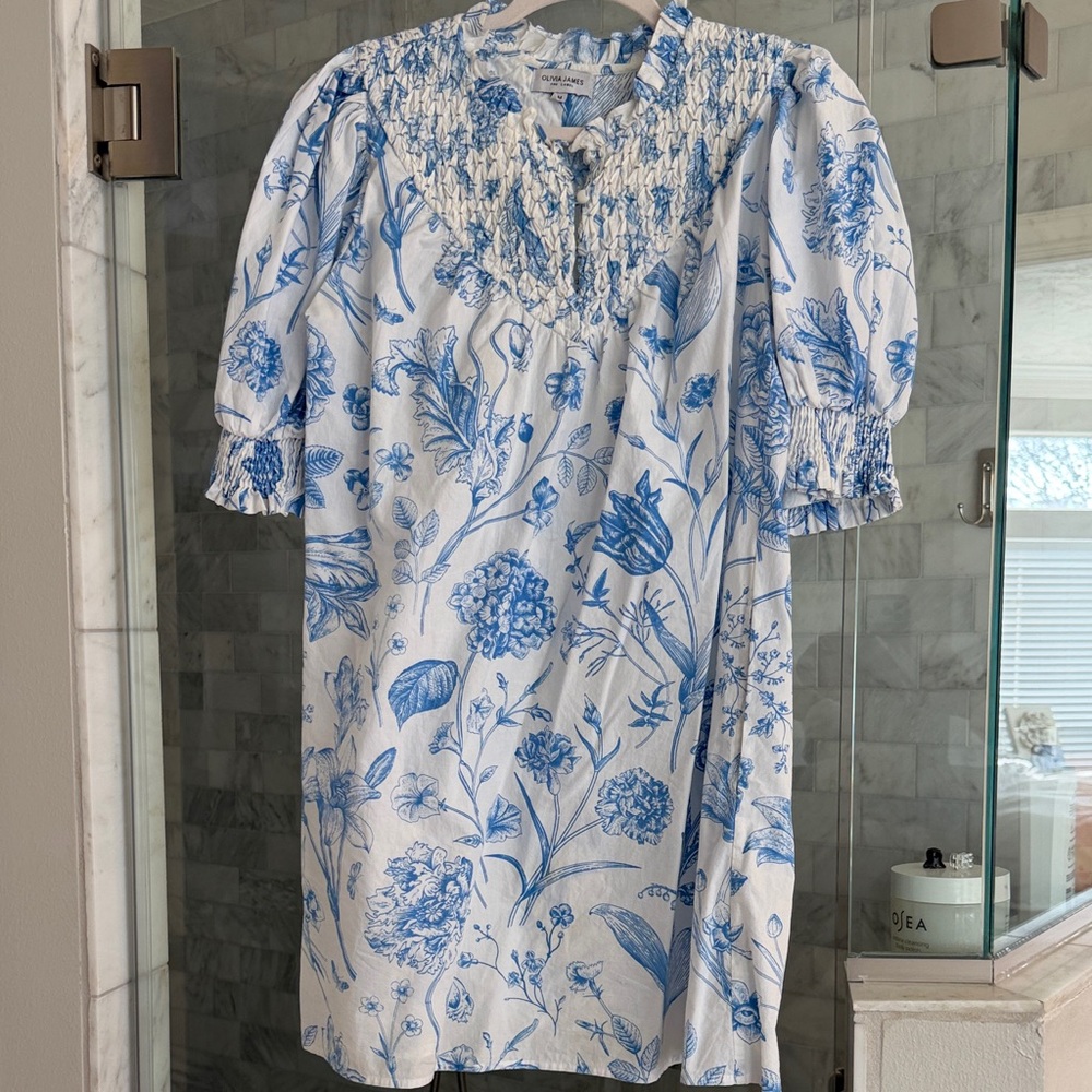 Floral Blue and White Mini Dress